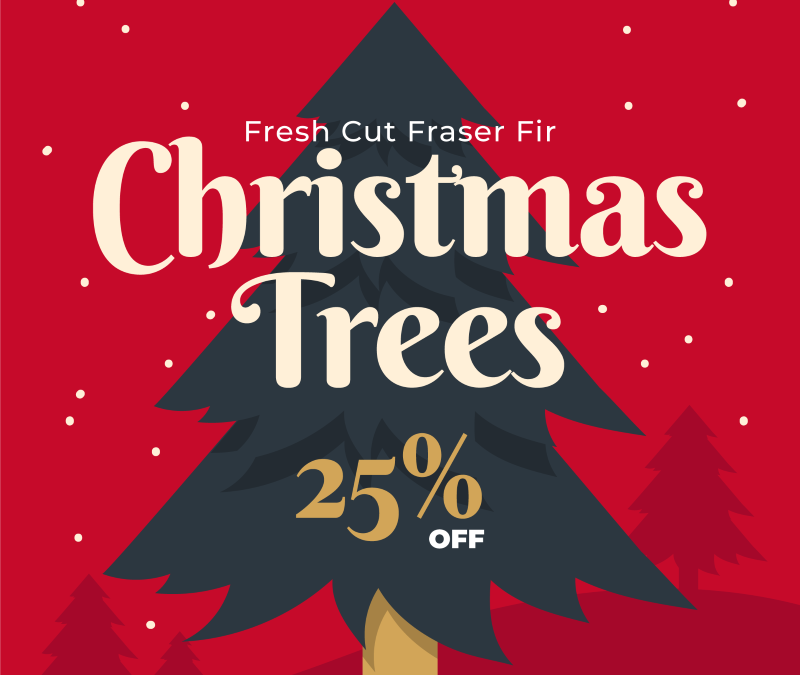 Fresh Cut Tree Sale