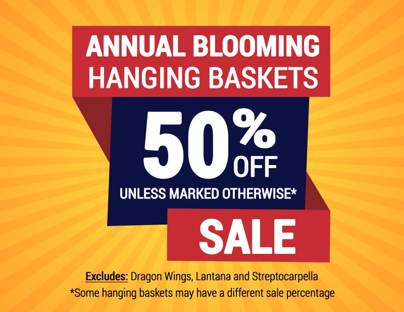 Annual Hanging Basket Sale