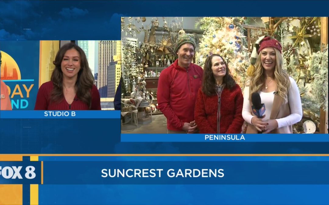 Live on New Day Cleveland