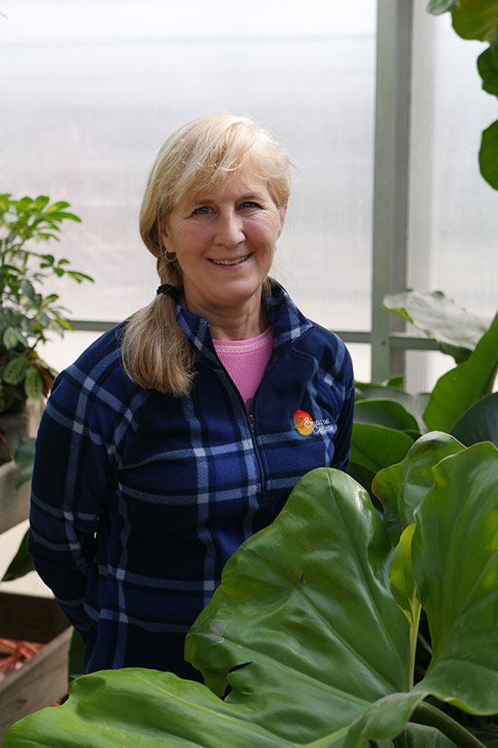 SUNCREST_STAFF_Sandy