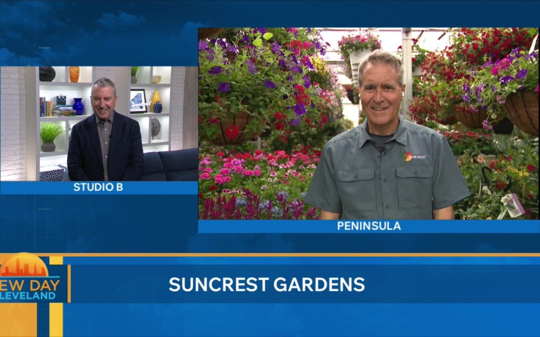 Live on New Day Cleveland