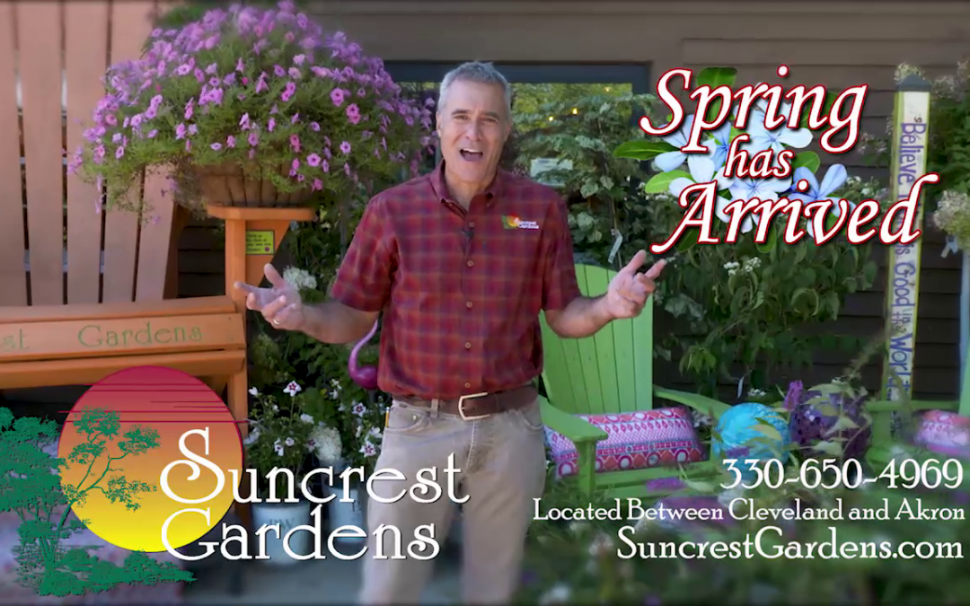 Spring 2022 Commercial